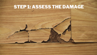 Assess the Damage